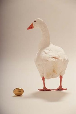goose-golden-egg