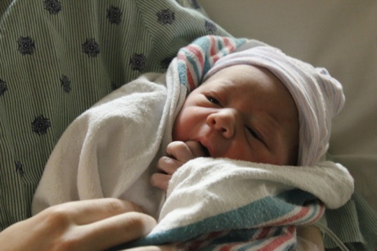 Shepherd Birth