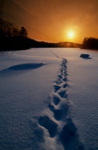 Footsteps in Snow