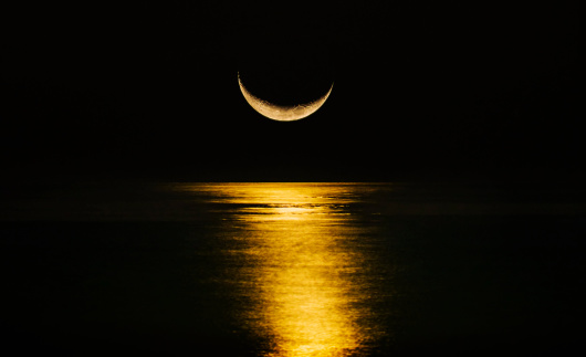 Moonrise 2