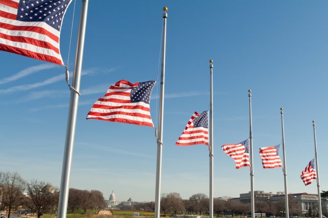 Row American Flags Half Mast Washington DC USA